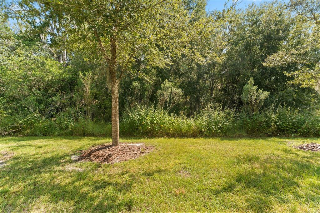 1656 Hubbell Road Wesley Chapel, FL 33543 - Photo 28 of 37 Gallery Image 28