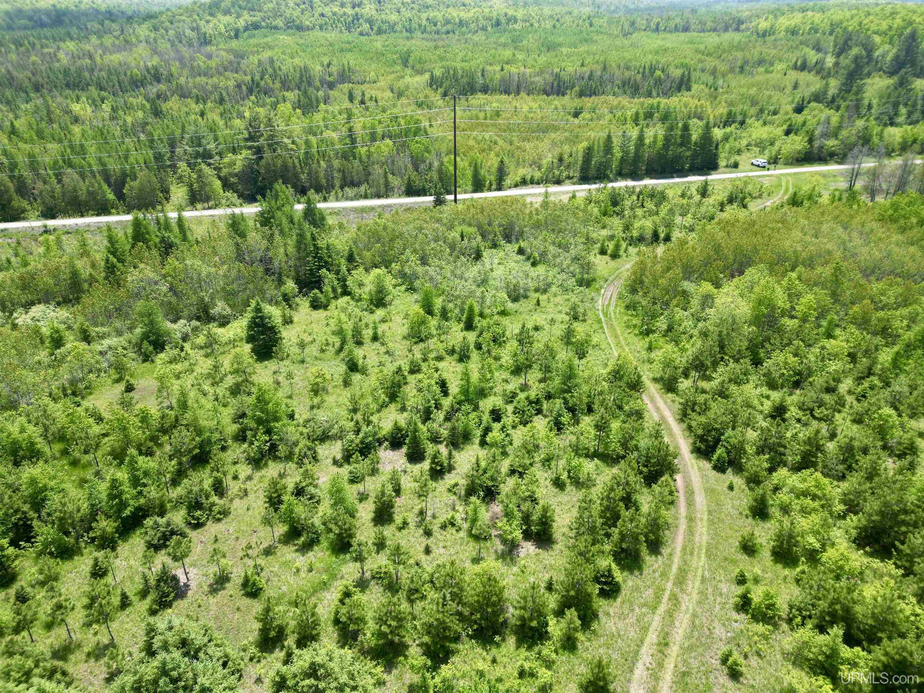 400 Rd Perronville Mi 49807 Road Bark River, MI 49807 - Photo 19 of 30