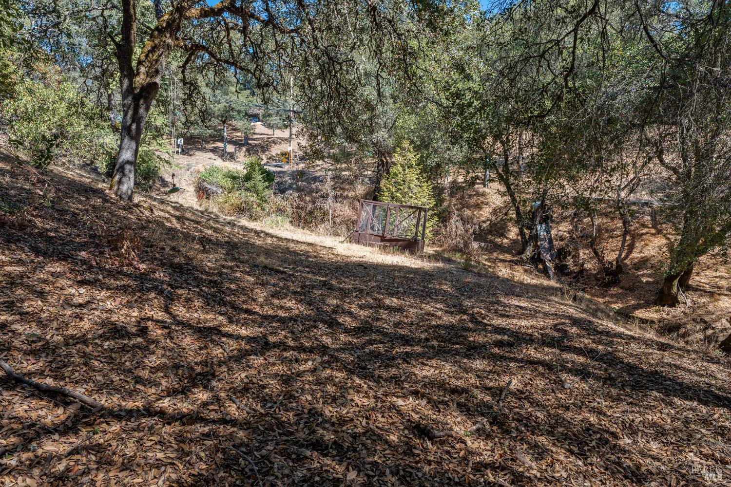 888 Watson Road Ukiah, CA 95482 - Photo 34 of 40 Gently sloping side yard area.