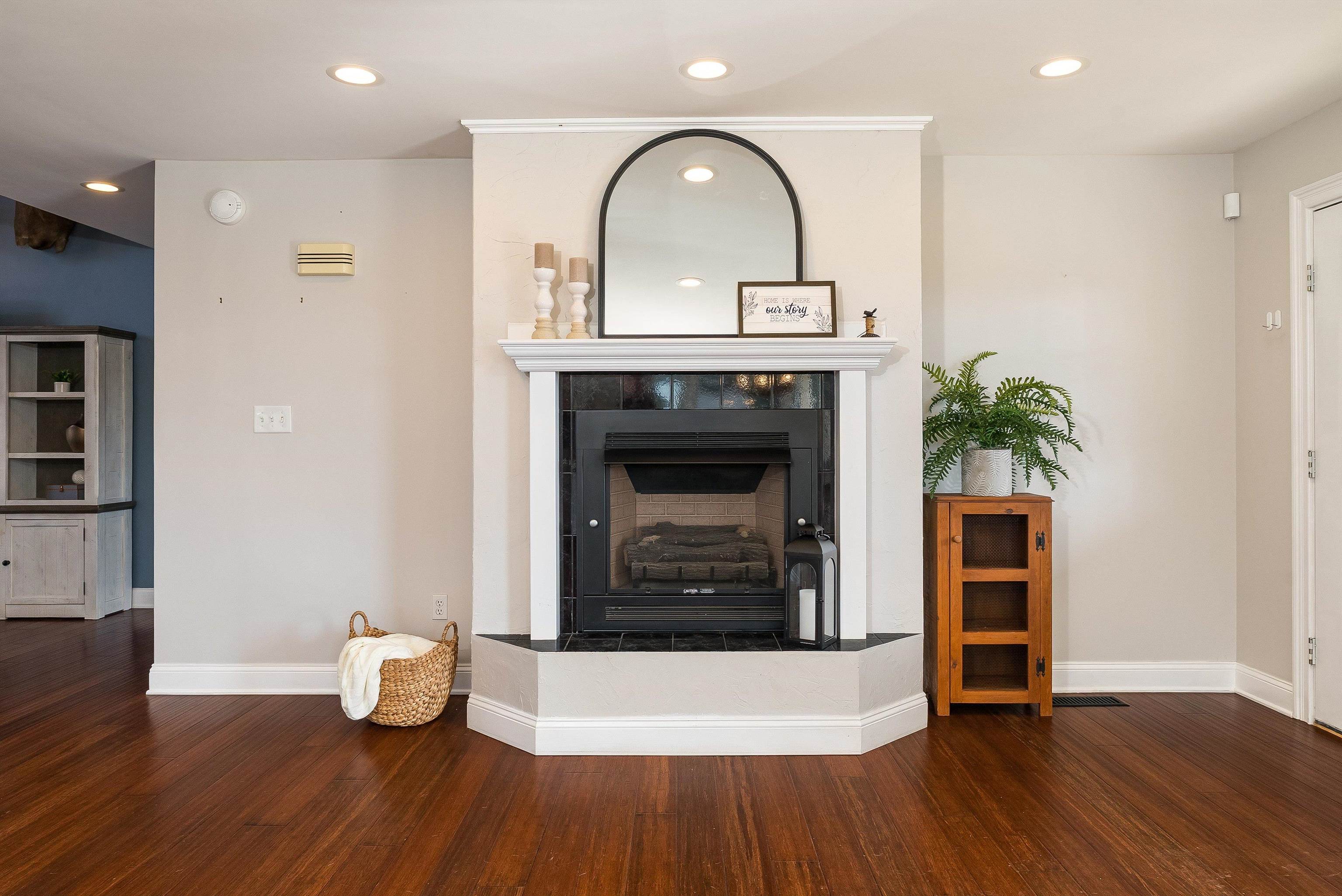 746 Christians Creek Road Staunton, VA 24401 - Photo 24 of 60 an empty room with wooden floor potted plant and a fireplace