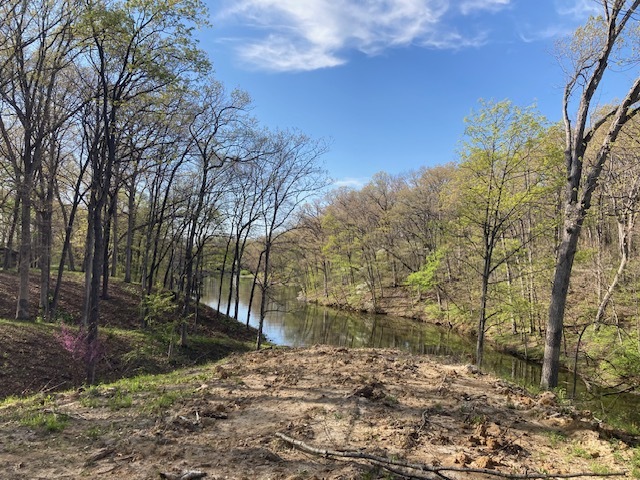 15205 North Siemer Road Effingham, IL 62401 - Photo 1 of 8