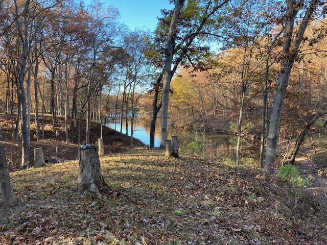 15205 North Siemer Road Effingham, IL 62401 - Photo 2 of 8