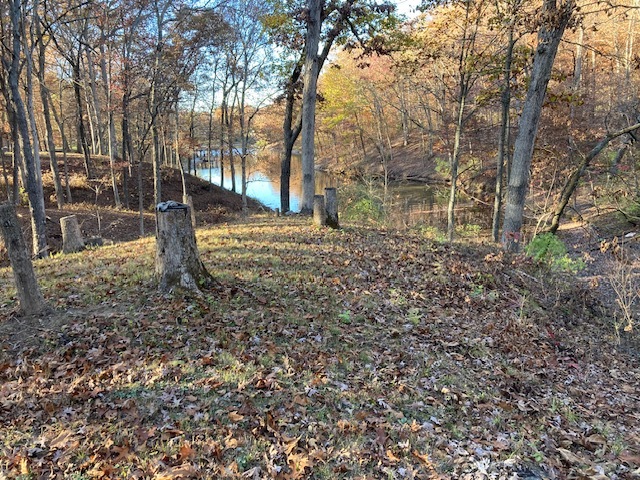 15205 North Siemer Road Effingham, IL 62401 - Photo 3 of 8