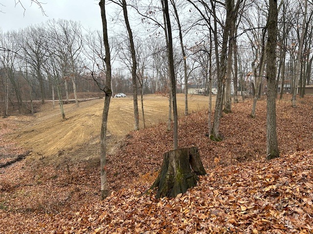 15205 North Siemer Road Effingham, IL 62401 - Photo 4 of 8