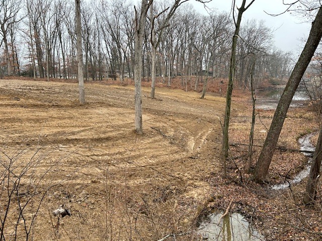 15205 North Siemer Road Effingham, IL 62401 - Photo 5 of 8