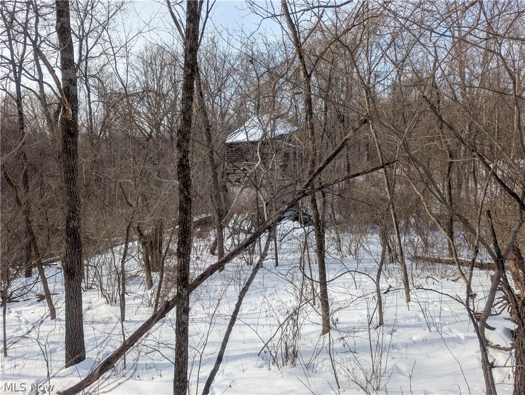 0 Tract 10 Kuhn Road Lewisville, OH 43754 - Photo 12 of 27