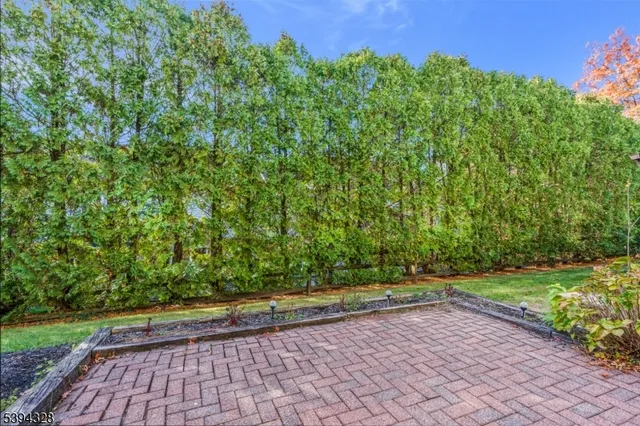 a view of backyard with green space