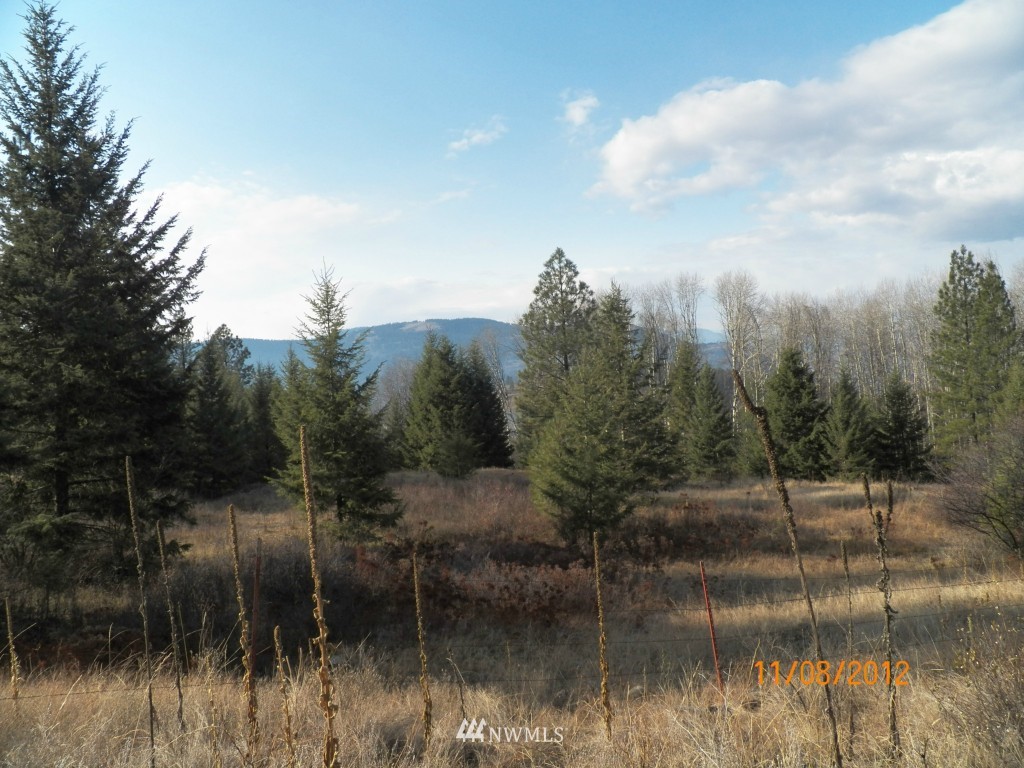 258 White Mountain Road Curlew, WA 99118 - Photo 7 of 15 Gallery Image 7