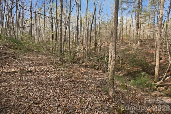 a view of a pathway with a yard