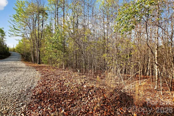 a view of empty space with trees