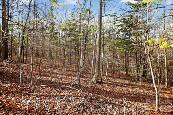 a view of a pathway with a yard