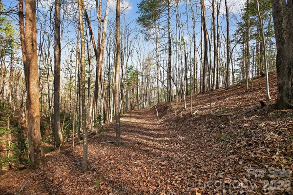 a view of a backyard of the house