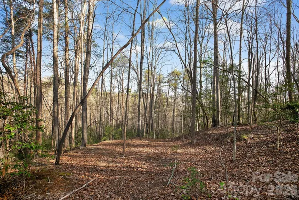 $29,500 | Lot 62 Dirksen Avenue, Nebo, NC 28761