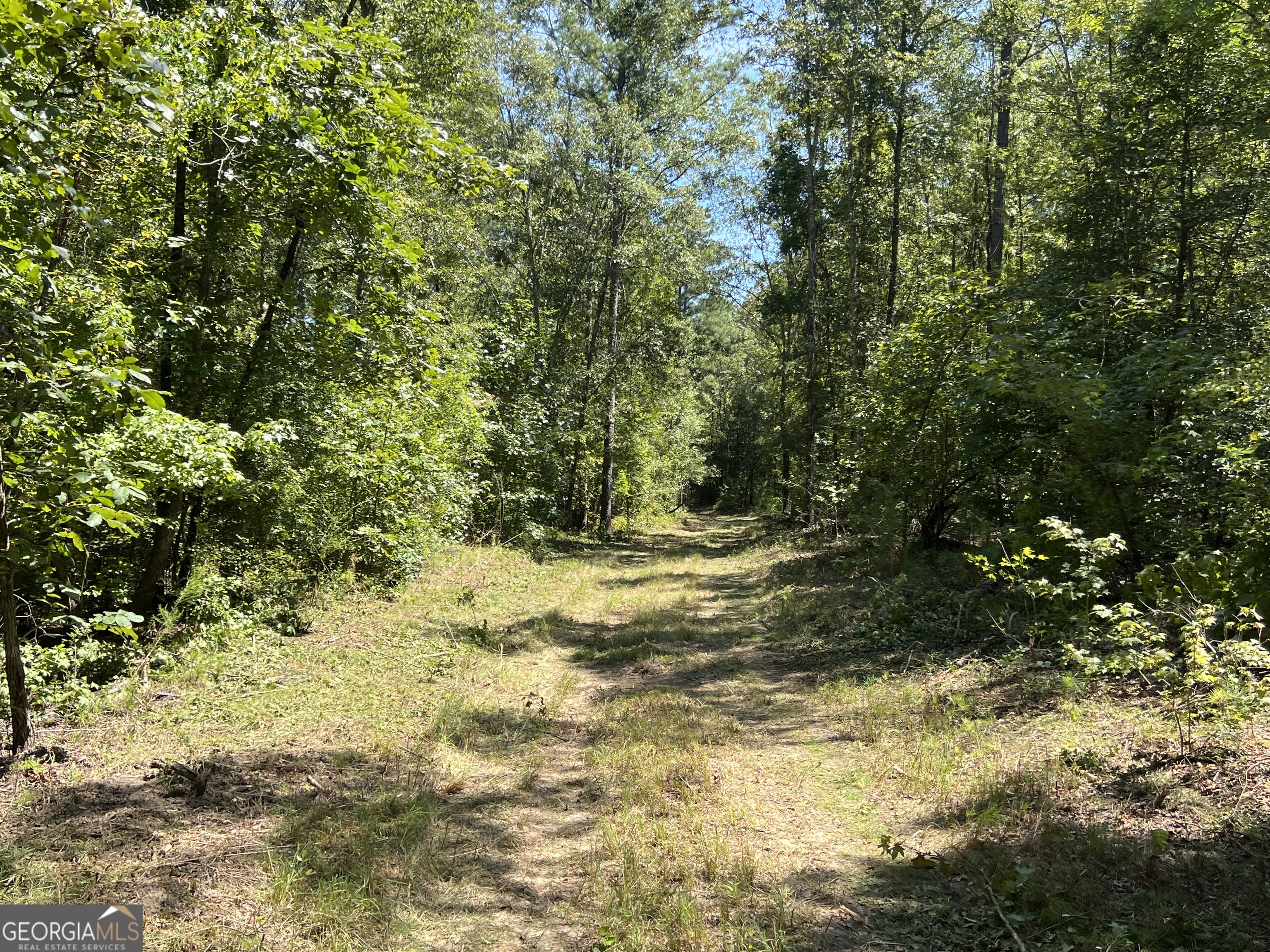 39.87-acres Irby Road Gibson, GA 30810 - Photo 11 of 56 Gallery Image 11