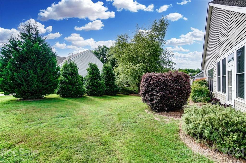 2135 Ashley River Road Waxhaw, NC 28173 - Photo 17 of 17 a view of a big yard with plants and large trees