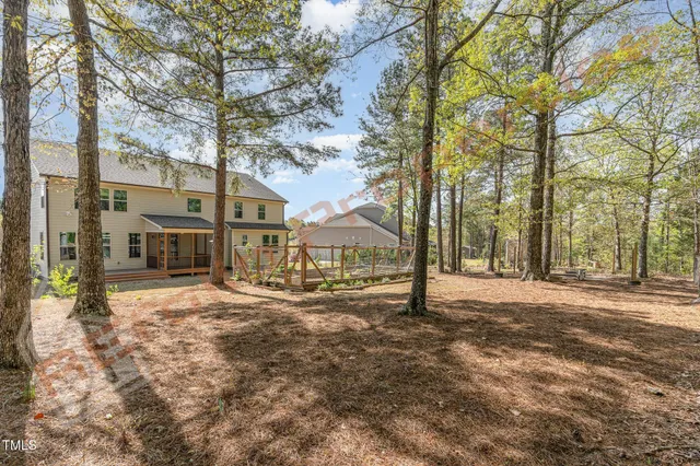 a view of a large trees with a big yard