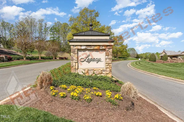 a view of a street with a large tree