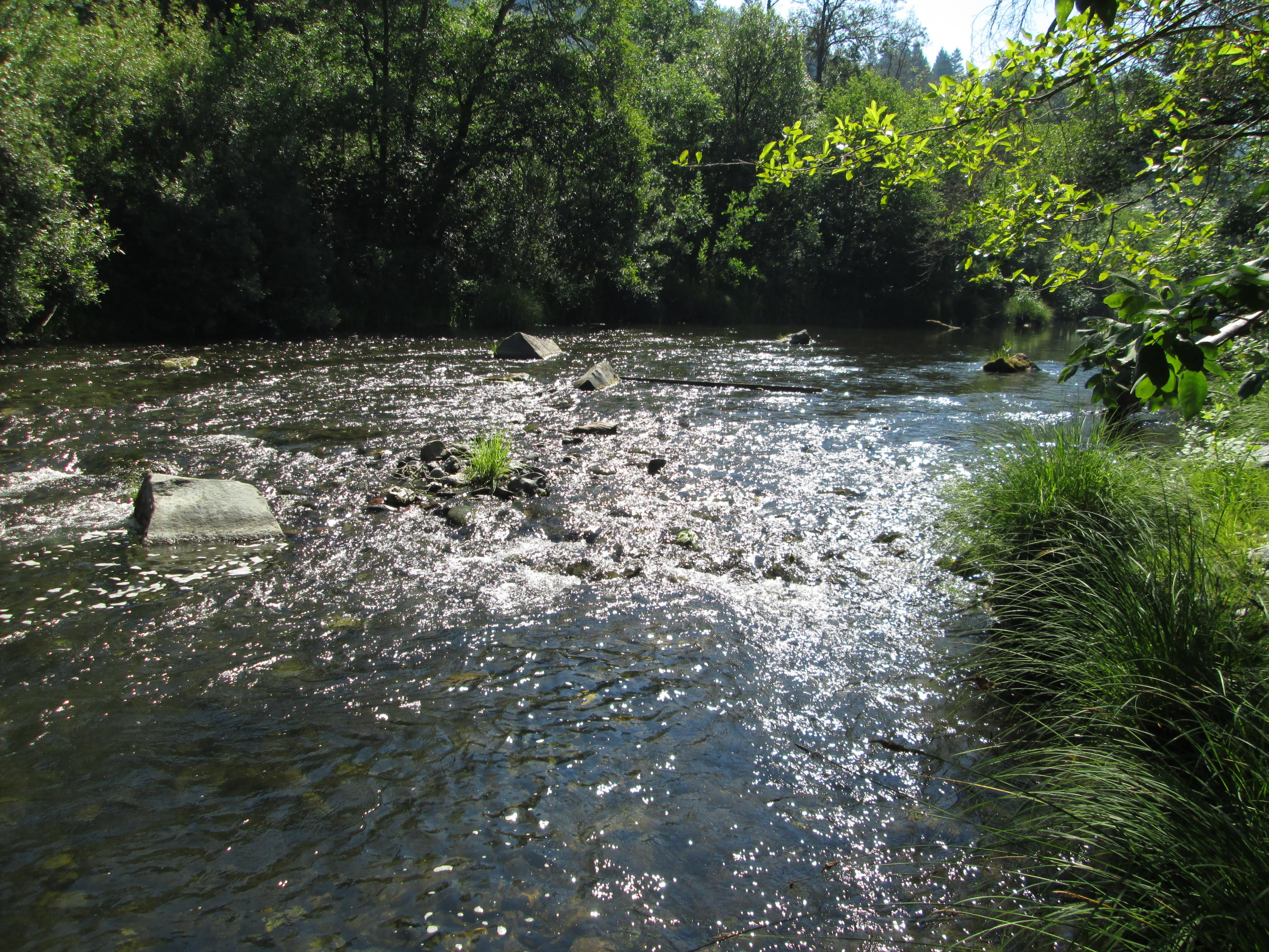 Pcl 58 Sanicula Road Mad River, CA 95552 - Photo 5 of 7