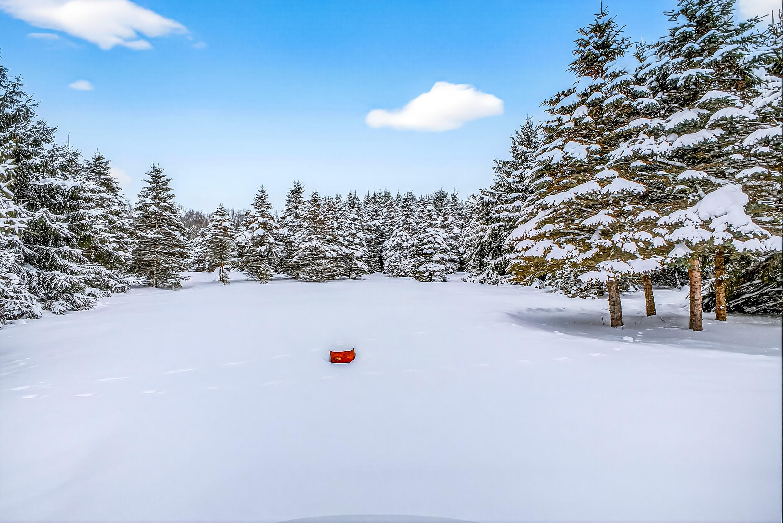 55 East Wilke Road Rothbury, MI 49452 - Photo 39 of 42 55 e wilke-40