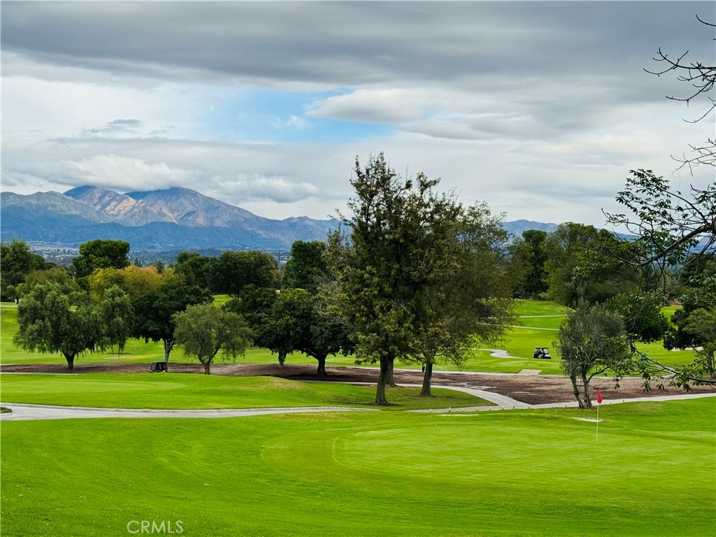 662 Via Los Altos, Unit P Laguna Woods, CA 92637 - Photo 36 of 46 a view of a golf course with a garden