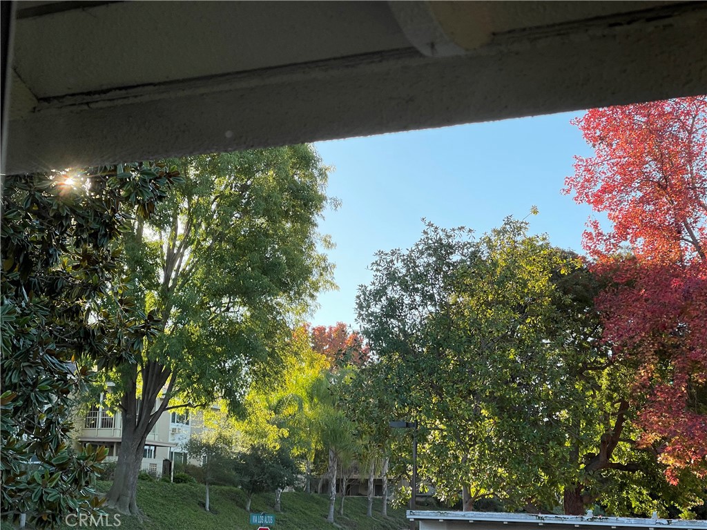 662 Via Los Altos, Unit P Laguna Woods, CA 92637 - Photo 4 of 46 tree views from your home