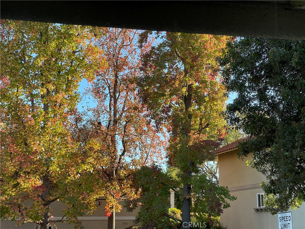 662 Via Los Altos, Unit P Laguna Woods, CA 92637 - Photo 46 of 46 a view of a yard