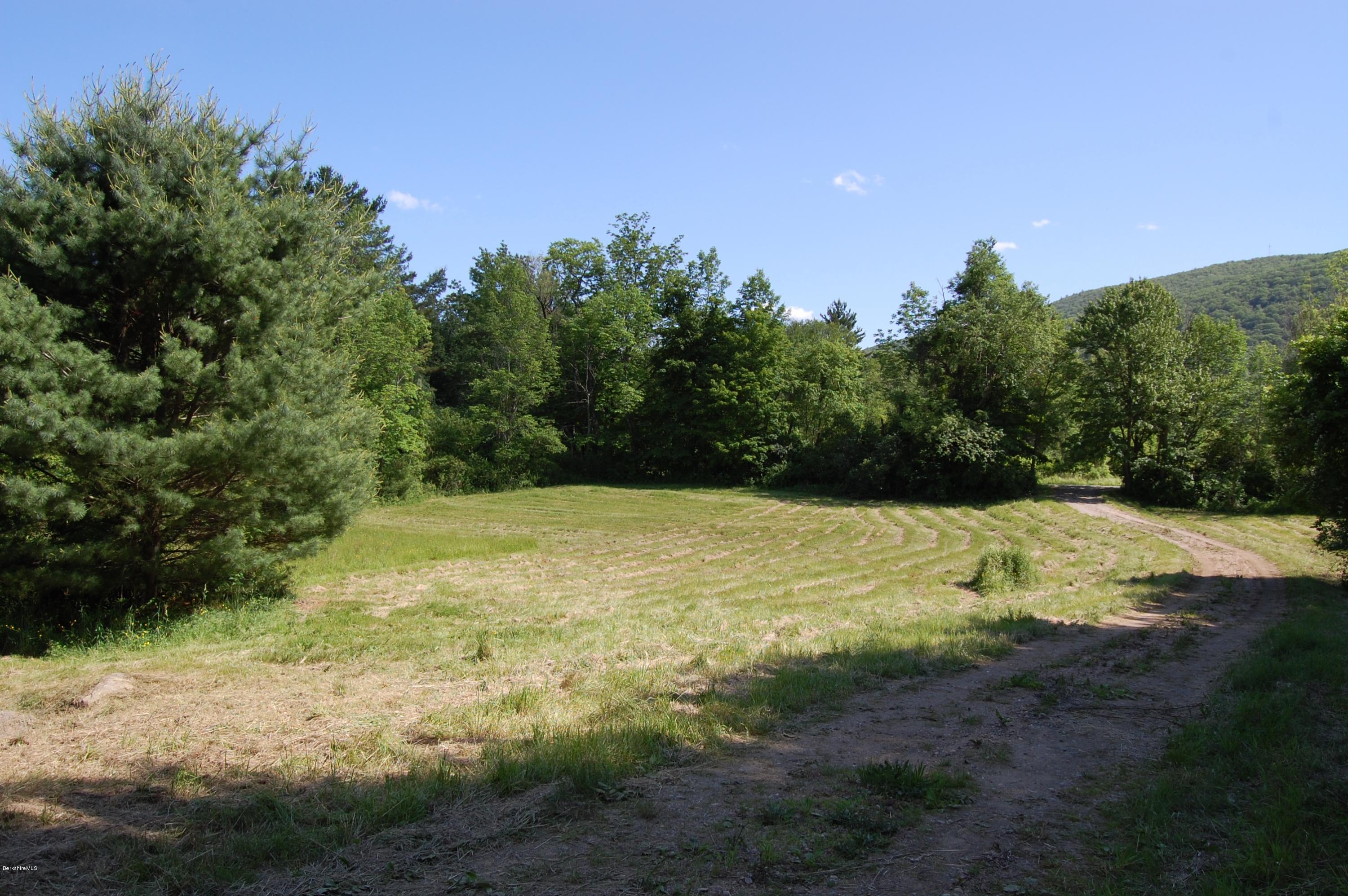 103 Jug End Road Egremont, MA 01230 - Photo 17 of 18 16 Land