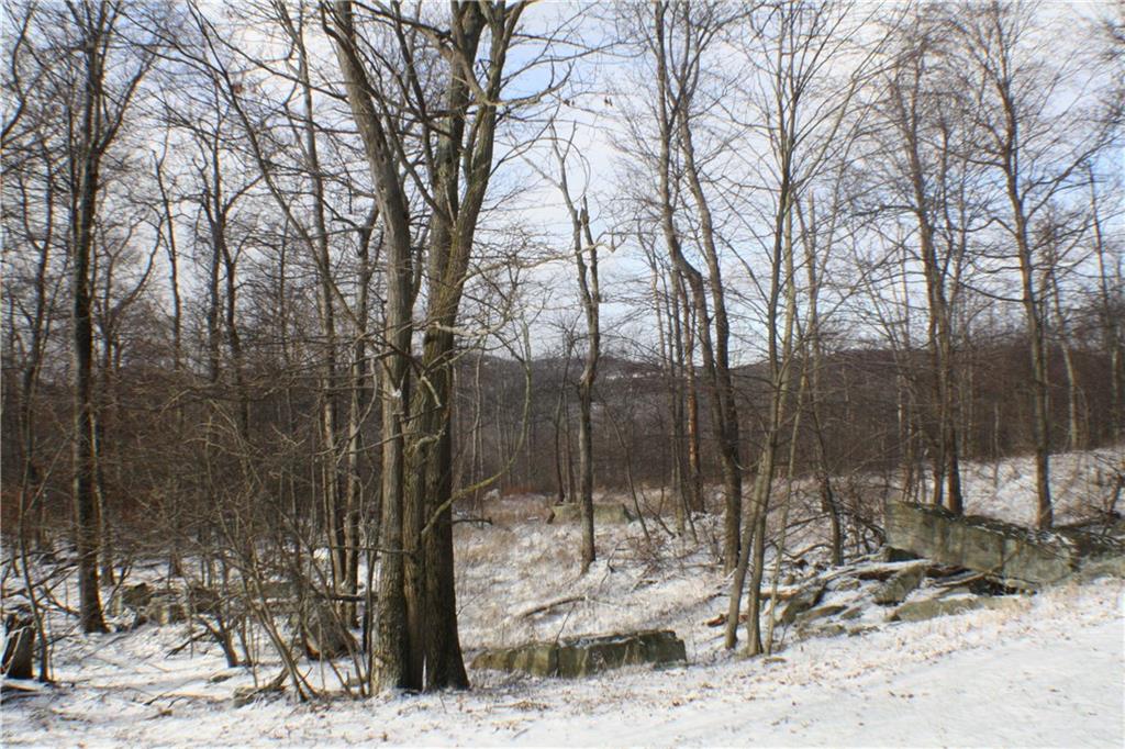 2003 South Ridge Terrace Hidden Valley, PA 15502 - Photo 14 of 22 Gallery Image 14