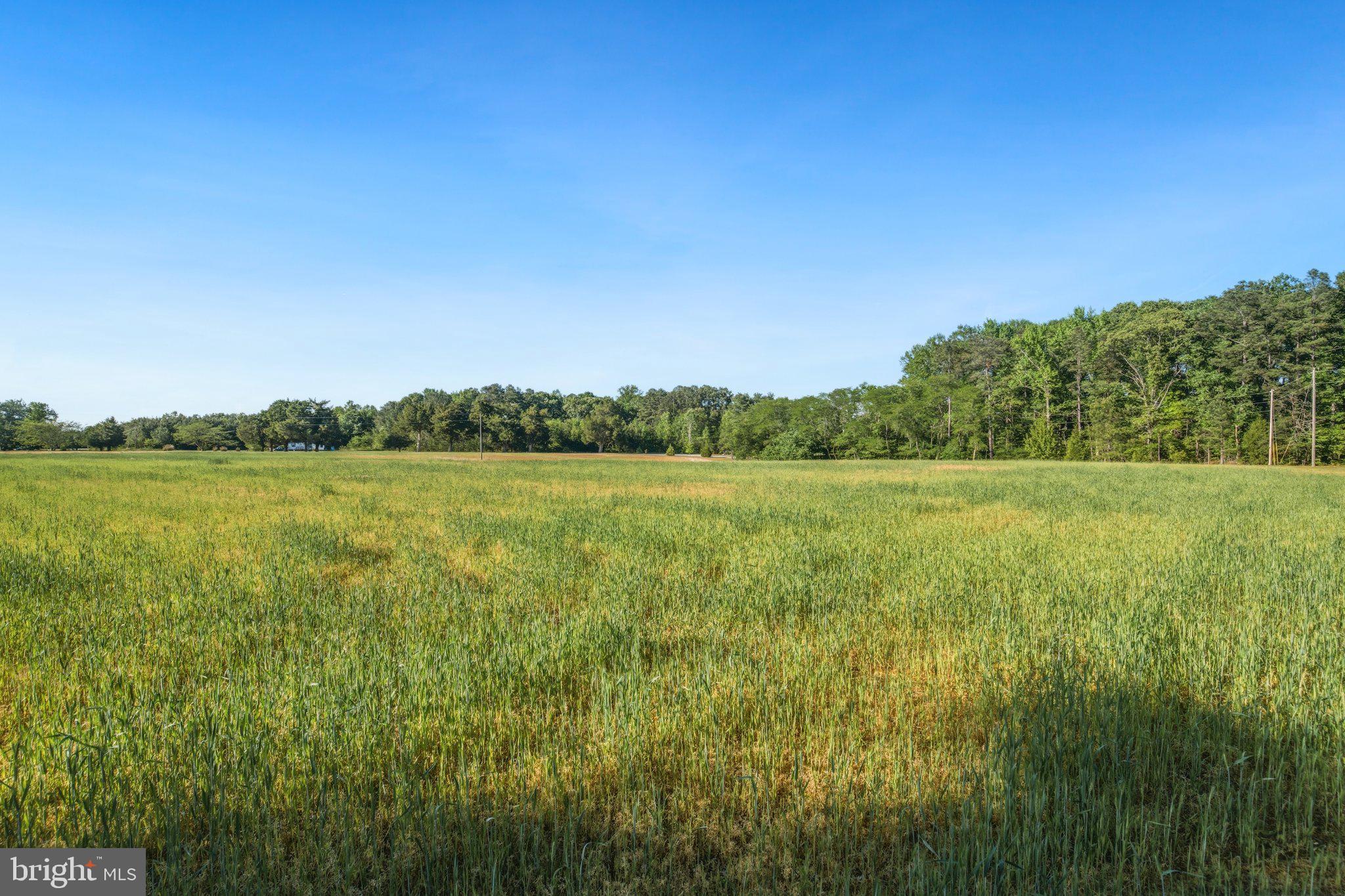 316 Gordon Road Kinsale, VA 22488 - Photo 3 of 45 Vast green fields under a clear sky.