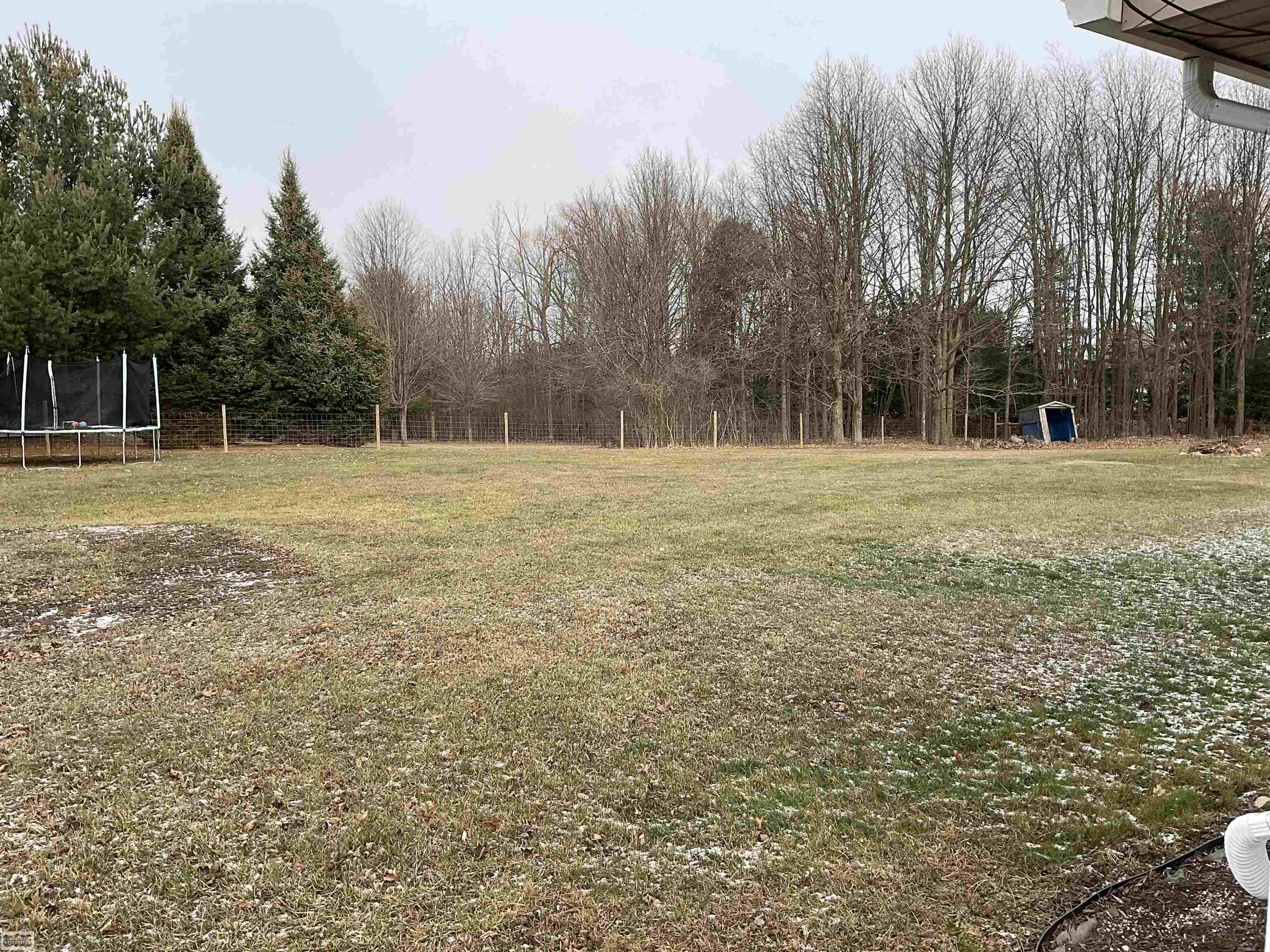 1139 East Wellman Line Road Yale, MI 48097 - Photo 5 of 16 Spacious Backyard