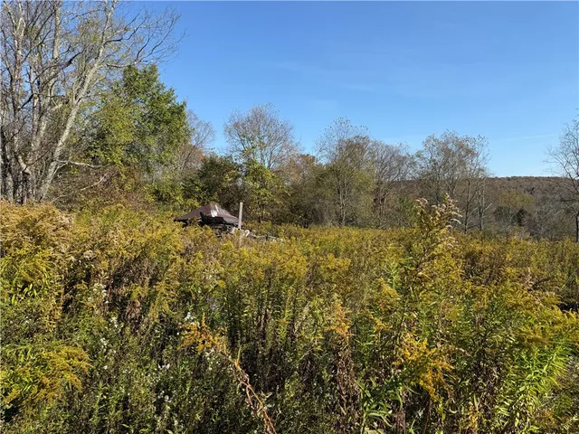 $37,500 | 878 County Road 10, Pharsalia, NY 13815