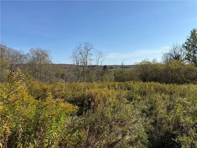 $37,500 | 878 County Road 10, Pharsalia, NY 13815