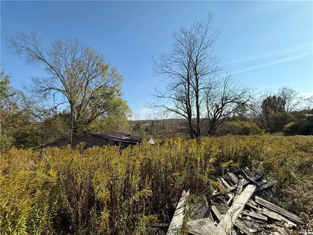 $37,500 | 878 County Road 10, Pharsalia, NY 13815