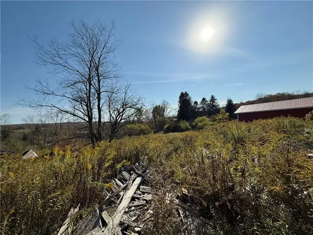 $37,500 | 878 County Road 10, Pharsalia, NY 13815