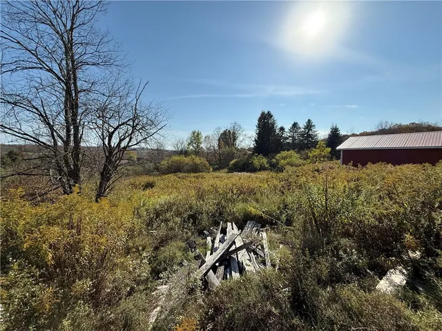 $37,500 | 878 County Road 10, Pharsalia, NY 13815