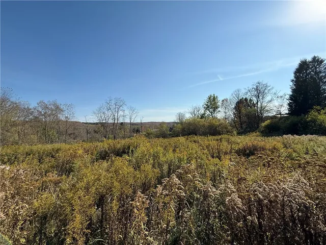 $37,500 | 878 County Road 10, Pharsalia, NY 13815