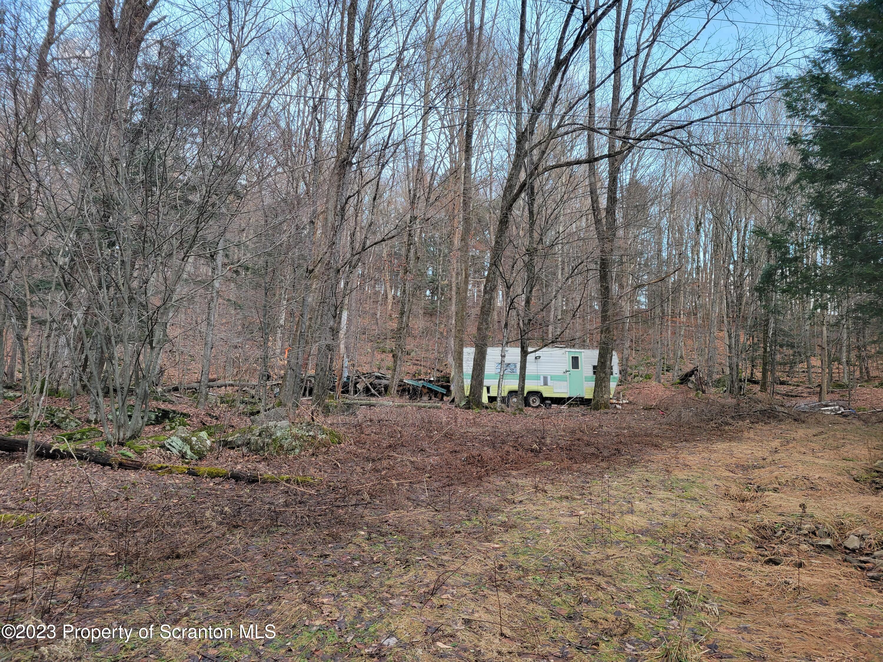 4 Baxter Road Pleasant Mount, PA 18453 - Photo 2 of 4 20230105_161914