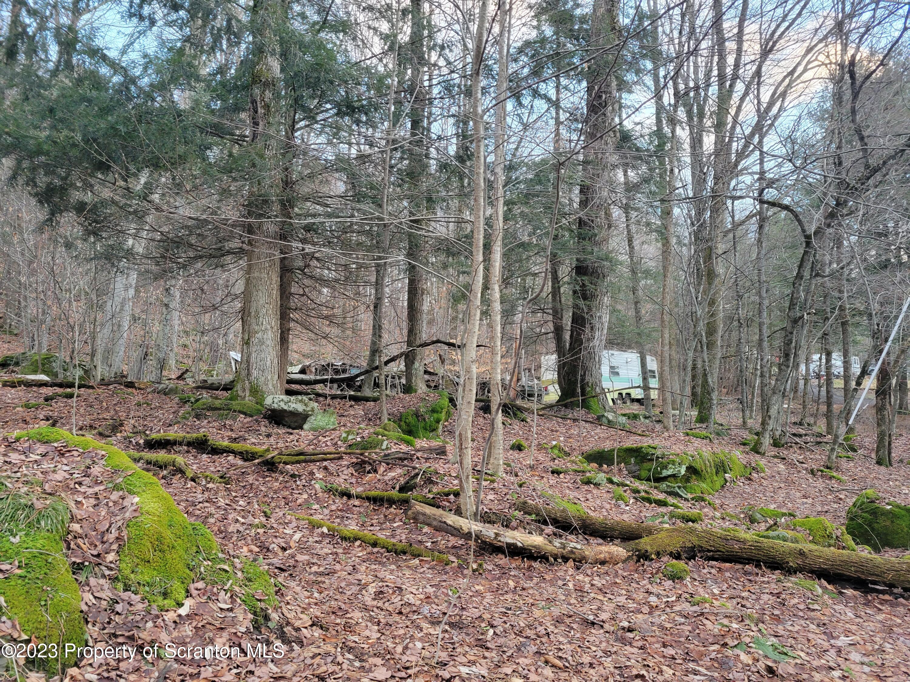 4 Baxter Road Pleasant Mount, PA 18453 - Photo 3 of 4 20230105_162058
