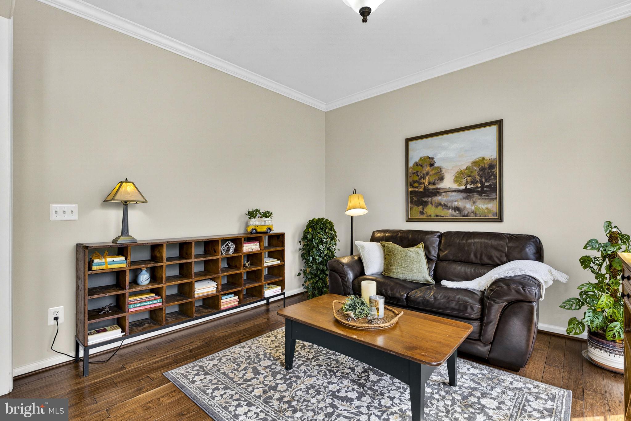 6913 Bitterroot Court Gainesville, VA 20155 - Photo 11 of 56 Living room w/overhead lighting