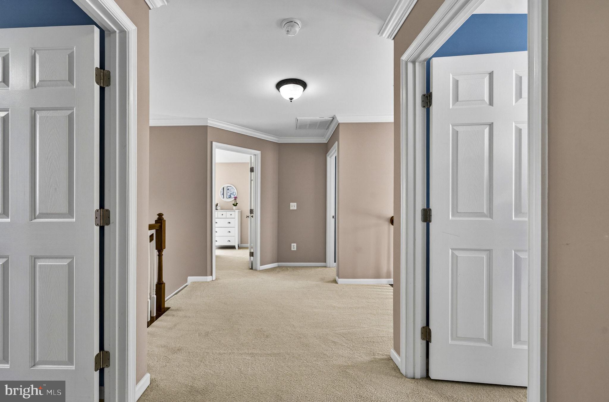 6913 Bitterroot Court Gainesville, VA 20155 - Photo 42 of 56 Extra wide hallway