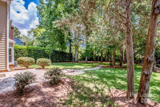 a view of backyard with green space