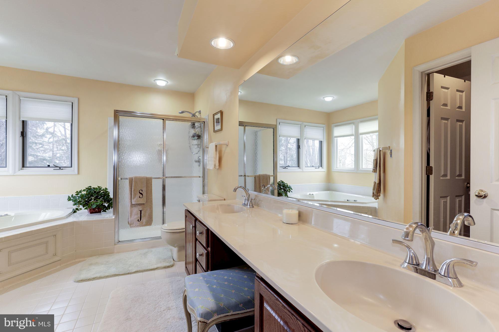 6402 Springhouse Circle Clifton, VA 20124 - Photo 19 of 30 a bathroom with a tub sink and mirror