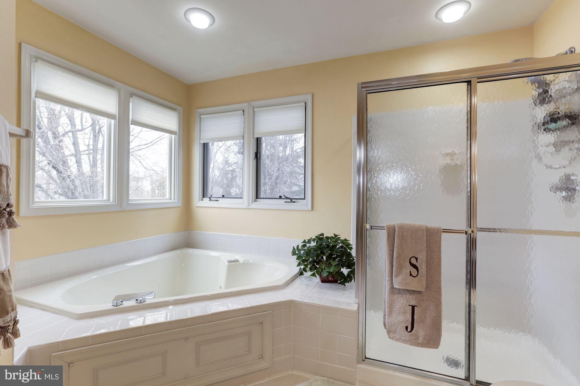 6402 Springhouse Circle Clifton, VA 20124 - Photo 20 of 30 a bathroom with a bathtub and a shower