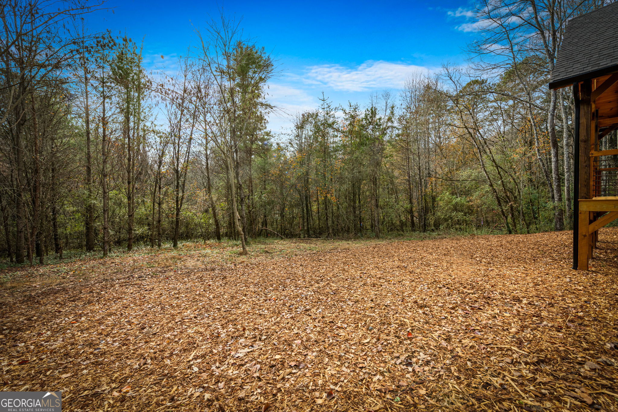 40 Cherry Street East Ellijay, GA 30540 - Photo 53 of 54