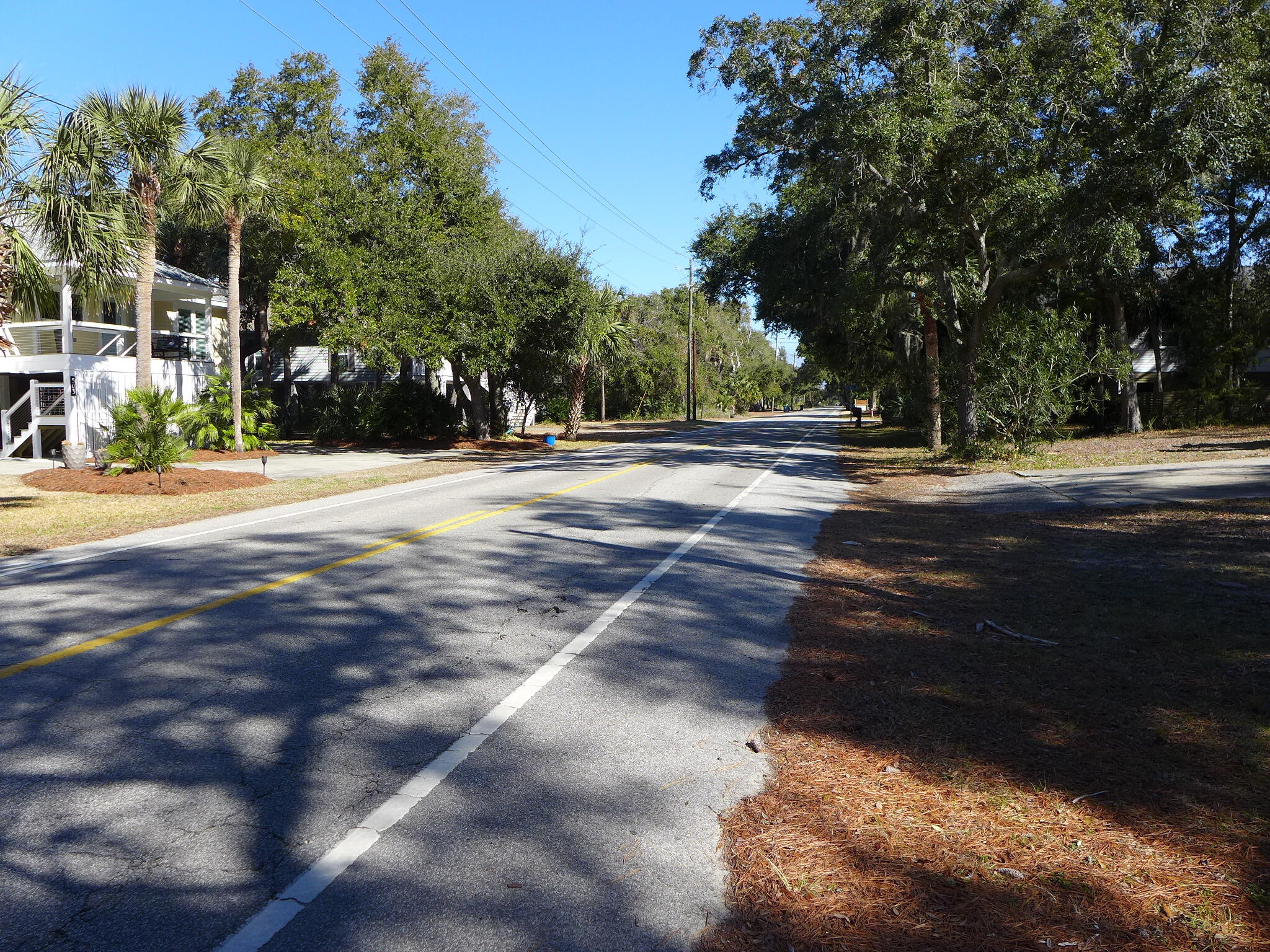 506 Jungle Road Edisto Island, SC 29438 - Photo 2 of 31 P1120302