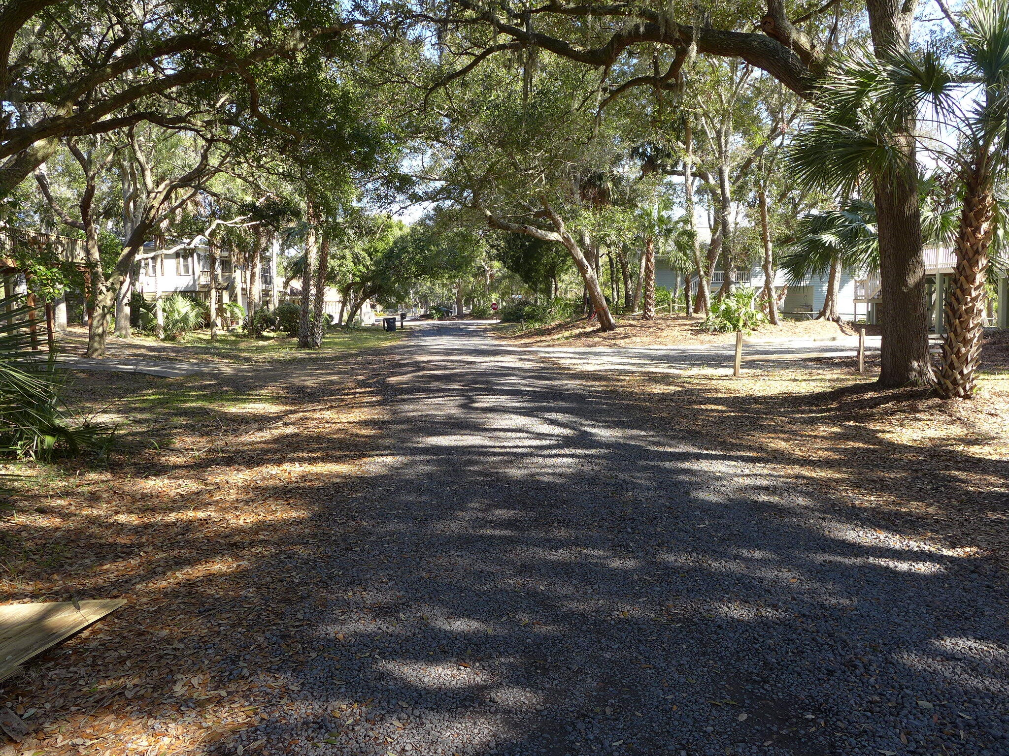 506 Jungle Road Edisto Island, SC 29438 - Photo 29 of 31 P1120300