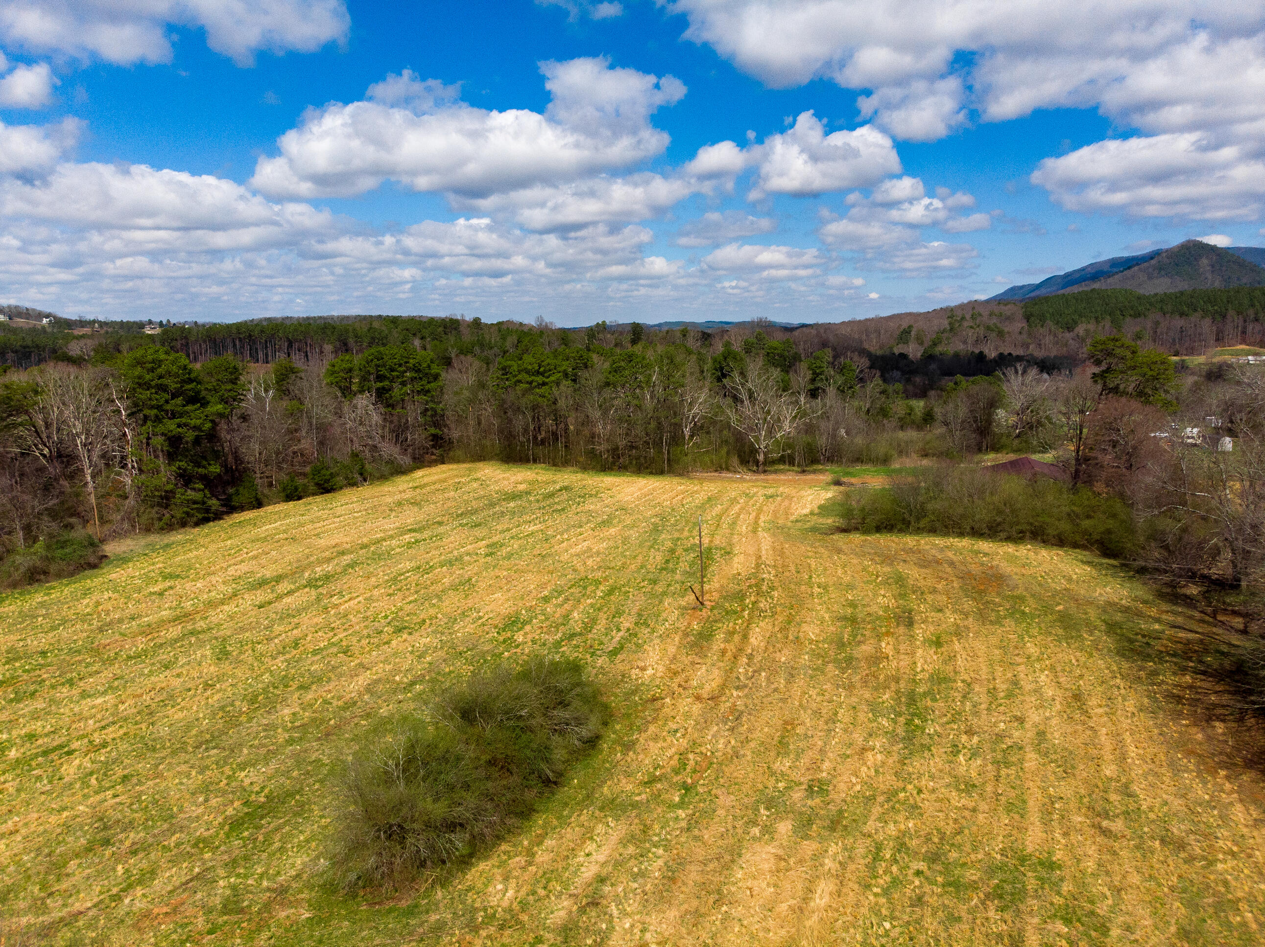 1321 Sand Mountain Road Ocoee, TN 37361 - Photo 13 of 29 DJI_0781-Edit