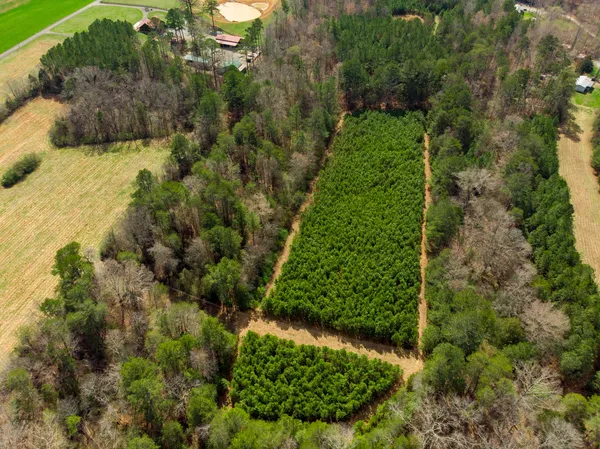 $600,000 | 1321 Sand Mountain Road, Ocoee, TN 37361