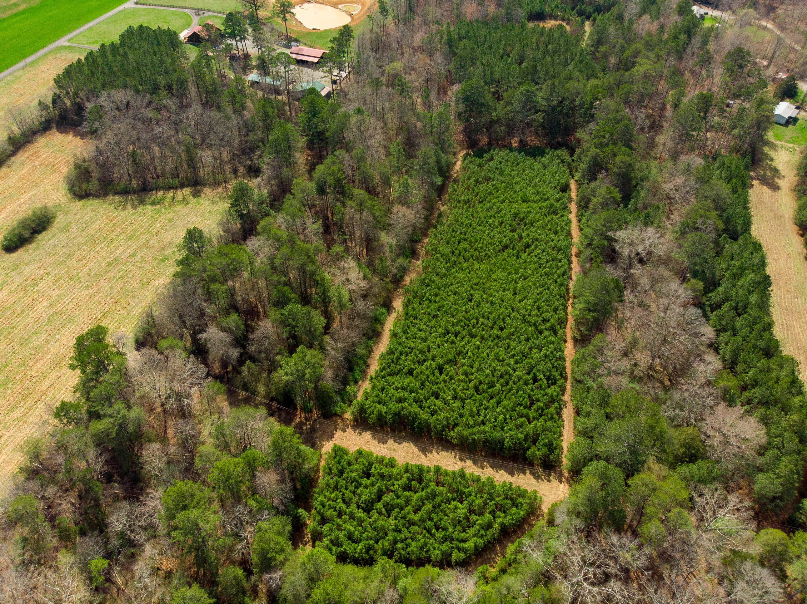 1321 Sand Mountain Road Ocoee, TN 37361 - Photo 24 of 29 DJI_0762-Edit