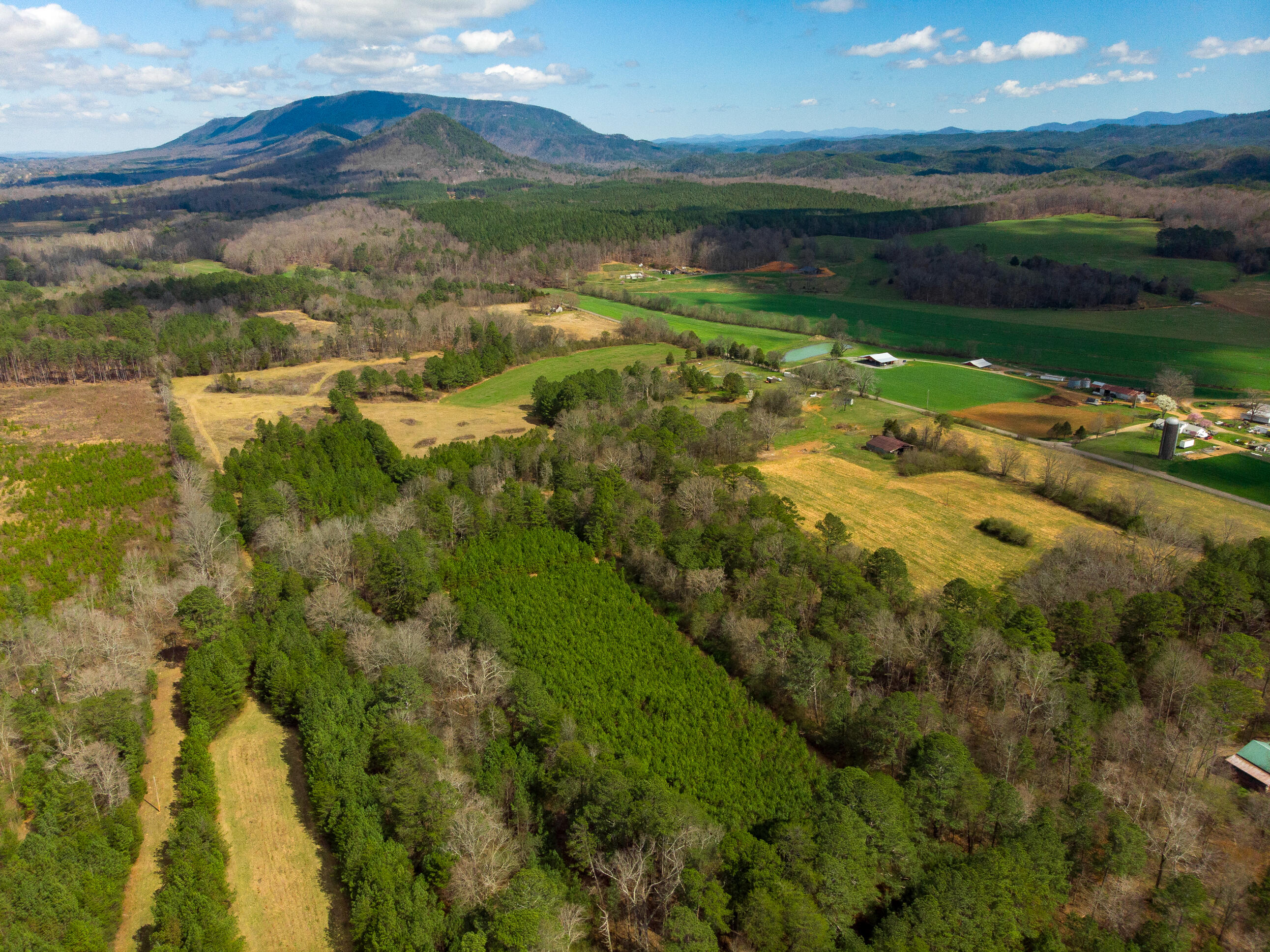 1321 Sand Mountain Road Ocoee, TN 37361 - Photo 25 of 29 DJI_0763-Edit